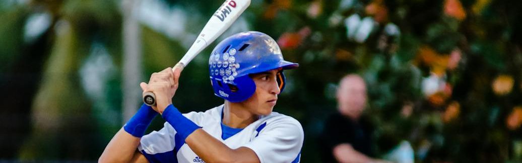 person holding baseball bat