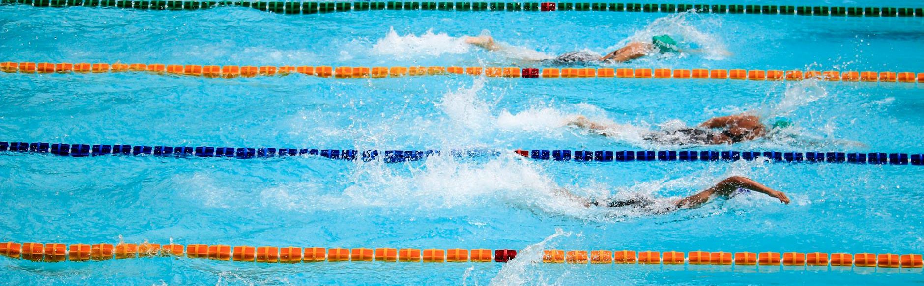 people doing swim race